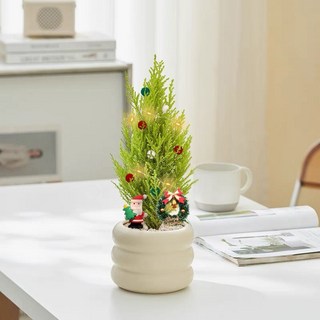 聖誕樹香鬆辦公室植物聖誕節室內盆栽禮物桌面綠植擺件diy花卉, 1個, 聖誕老人+香鬆+圈圈盆+草圈+燈+綵球