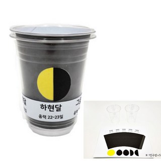 5인세트 상현달 하현달 달만들기 지구과학 실험키트 관찰 수업 도구