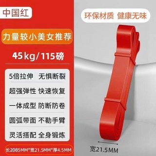 彈力帶 健身阻力帶 男女適用 減肥拉力帶 肩膀訓練 引體向上輔助帶, 【材質升級A+級乳膠】硃砂紅-【寬21m, 1個