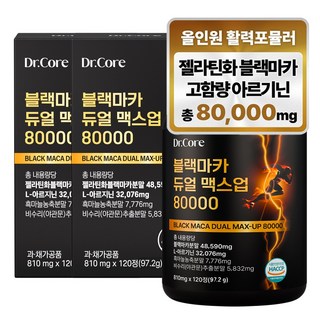 닥터코어 블랙마카 아르기닌 듀얼 맥스업 80000, 2개, 120정