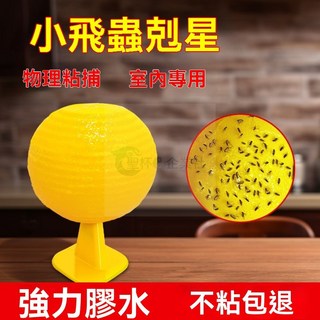 室內飛蟲剋星粘 小飛蟲神器 飛蟲一掃光蒼蠅捕捉器 傢用水果店廚房用 蒼蠅貼 黏果蠅 蒼蠅球 捕蟲, 1個, 可用7天黃色1個球（不帶底座）,自帶崑蟲引誘信息素-高粘強效勾引