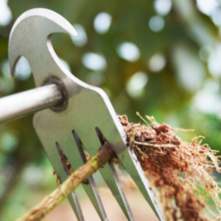 리빙아울렛 잡초제거 나무 손잡이 호미, 1개