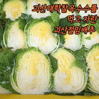 국산 괴산절임배추 절인배추 김치, 1박스, 20kg, 12월 13일 (금)