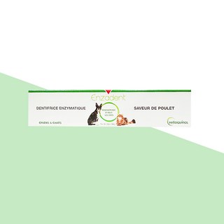 베토퀴놀 엔자덴트 엔지메틱 투스페이스트 애완용 치약 닭고기맛, 90g, 1개