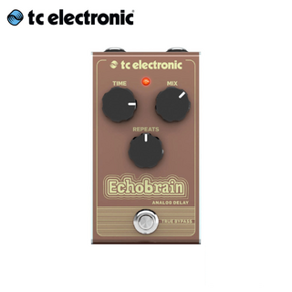 TC Electronic ECHOBRAIN ANALOG DELAY 에코브레인 아날로그 딜레이 이펙터