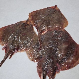 미식해 군산 급냉 간재미 1.2kg(2-3미) 간재미 찜 탕 회 조림, 1개, 1.2kg 전후(2미~3미)