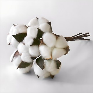 블루밍앤미 미니 목화 묶음 6p, 혼합 색상