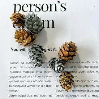 VITO zakka 落葉松果 乾燥果實 松果 花材 拍攝道具 DIY創作 手做材料 花圈材料, 銀色,小(1~2cm), 1個