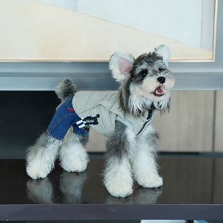 4. 펫드로왕 강아지..