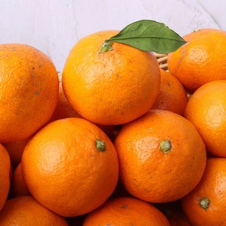 (자연마을) 제주 무농약 노지감귤 밀감, 5kg 2S-M, 1개