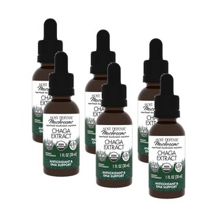 호스트 디펜스 차가 버섯 추출물 액상 Host Defense Chaga Extract, 6개, 30ml