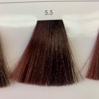 萊雅L'OREAL專業護髮染膏 美絲雅系列 50g 多色可選 尹恩惠代言, 5.5, 1個