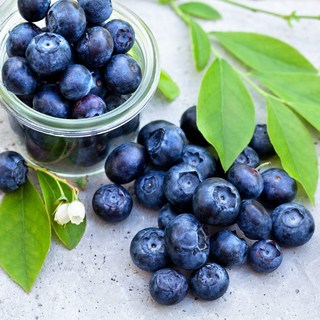 아삭 새콤달콤 블루베리 항공직송 고당도 수입 과일, 2개, 125g