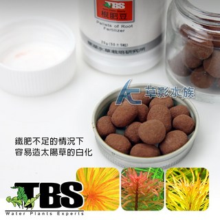 【AC草影】TBS翠湖 高鐵肥根肥豆 (紅色鐵肥/50粒) 水草肥料 魚缸肥料 水生植物根肥, 1個