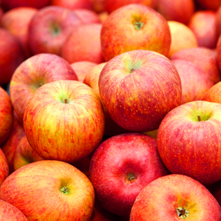 [파격세일] 부사사과 청송산지 고당도 꿀사과, 1박스, 오늘만 5kg [2S-M]