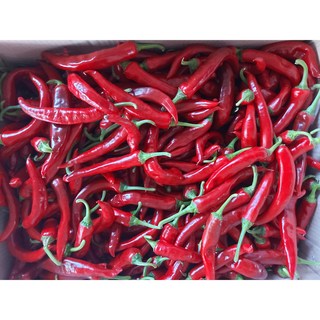 국내산 업소용 홍고추 5kg, 1개