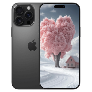 아이폰 16 Pro Max 블랙 티타늄 이미지