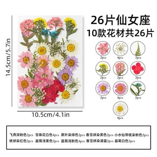 中花包組合 真花壓花 永生花 森林系少女寫真 壁畫 DIY水晶滴膠 乾燥花 植物標本, 11.26片仙女座