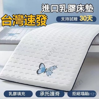 臺灣發貨 A類乳膠床墊 軟墊家用鋪底墊褥子 單人學生宿舍大學生必備 民宿出租房適用, 高貴小兔灰,90x200cm【限時優惠】