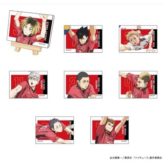 幸幸貓 現貨 日版 排球少年 垃圾場的決戰 迷你帆布畫 VOL.2 音駒高校 隨機收藏