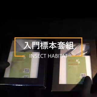 入門標本套組 標本教材 教具 蝴蝶 昆蟲 模型 乾貨三角紙包裝 自然教材, 1個