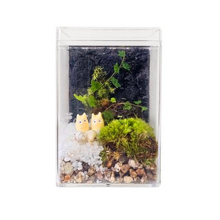 [릴리몰리] 토토로 제주애기모람 테라리움 만들기 diy 원예 키트, 토토로 제주애기모람-소, 1개