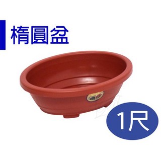 【醬米資材】腰子盆 淺根植物/楕圓盆-1尺 (台灣製造 盆栽 花盆 園藝資材), 磚紅, 1個