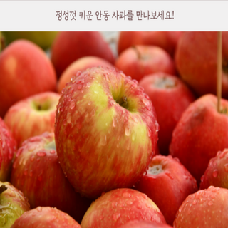 초특가 경북사과 못난이, 1개, 5kg 경북부사사과 가정용 중과(15~24개)