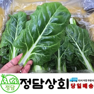 [ 정담상회 ] 국내산 근대 1kg 2kg 4kg 내외 쌈채소 스무디용, 1박스