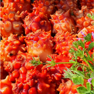 통영 서민갑부 평화수산 피멍게 꽃멍게 안깐멍게 활멍게 2kg 3kg 5kg 16시 이전주문시 당일배송, 활멍게(안깐멍게)2kg, 1개