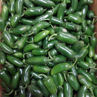 농가직송 가정용 할라피뇨 퍼팩트고추 못난이, 1박스, 5kg