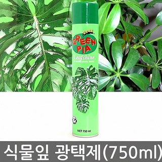 식물잎 광택제 750ml 잎 세척제 광택 액 식물 용 윤기 제 원예 용품 코팅 양제 유