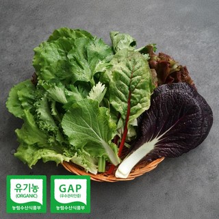 충주 산지직송 유기농 모둠 쌈채소, 1개, 600g