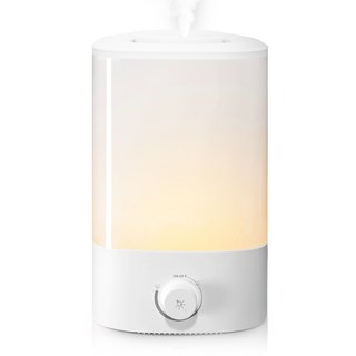 Rotima 대용량 초음파 가습기 4L 무소음 무드등 간편 통세척 사무실 탁상용 가정용 가습기, 화이트, J6