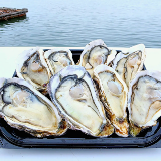 [빅피쉬마켓] 통영 최상급 석화 하프쉘 굴 3kg 5kg 10kg, 1박스, 3kg (1~2인)