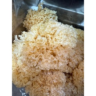 白木耳雪耳銀耳，檢驗合格，300克/半斤, 1個