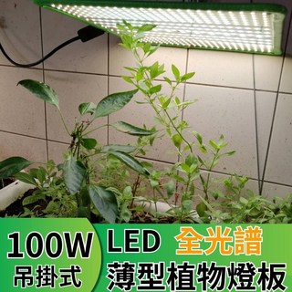 君沛植物燈 LED植物燈 LED100W薄型植物燈板 100瓦吊掛式植物燈 仿日照陽光植物燈全光譜 高演色性生物舒適光, 1個, 全光譜,裸版型