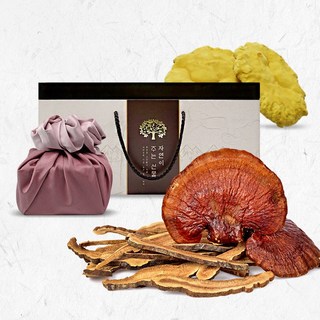 국산 버섯선물세트 상황버섯 영지버섯 건강차 부모님선물 말린버섯차 약용버섯 [잼미짐], 1개