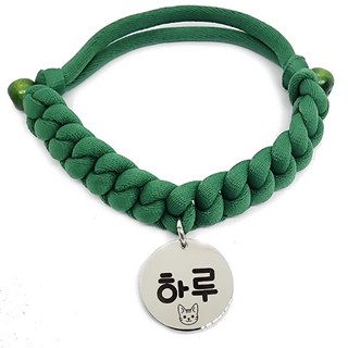 펫츠룩 가볍고예쁜 강아지 고양이 인식표 목걸이, 10데일리그린, 1개