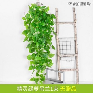 【Sunday】仿真綠蘿壁掛 客廳綠植裝飾 垂吊塑膠假花藤條 室內植物綠葉藤蔓吊蘭盆栽 黃金葛過膠壁掛, 精靈綠蘿吊蘭1束, 1個
