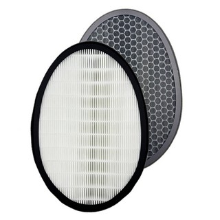 初締 空氣清淨機濾網組 適用LG PS-W309WI AS401WWJ1 AS401WWL2 H13高效濾網 蜂巢活性碳濾網 SGS檢測過濾99.9%, 1個, 抗敏HEPA濾網*1+活性碳*1=一組, AAFTWH101 / AAFTWH201