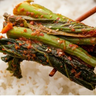 식탐 전라도 여수 돌산 갓김치 (당일생산), 1개, 10kg