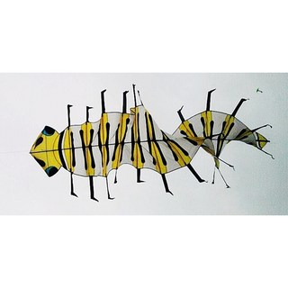 【風箏小舖】立體毛毛蟲風箏, 詳見包裝