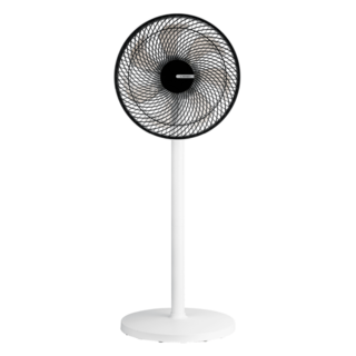 奇美CHIMEI DF-12A0CT 12吋 DC馬達 遙控 循環扇