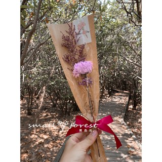 現貨 買五送一 康乃馨花束 母親節 香皂花 禮物 花束 乾燥花 單支花束 滿天星, 淺紫色康乃馨(滿150元出貨)