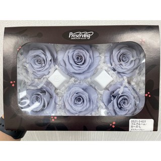 “Be a florist 花藝夢”日本大地農園不凋永生玫瑰05213(單朵販售) 六輪單色 永生花 乾燥花, 631