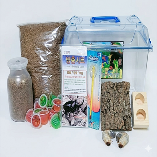 장수풍뎅이 사슴벌레 사육세트, 선택4, 1세트, 4. 장수풍뎅이 유충 특대형 세트