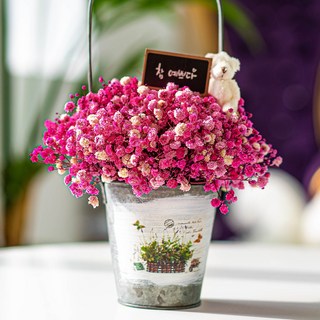 라운드오프 소나무로 만든 시들지 않는 LED 안개꽃바구니, 철제 핑크, 1개