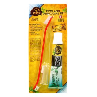 부들부들 에코랜드 반려동물 치약칫솔세트, 70g, 1세트