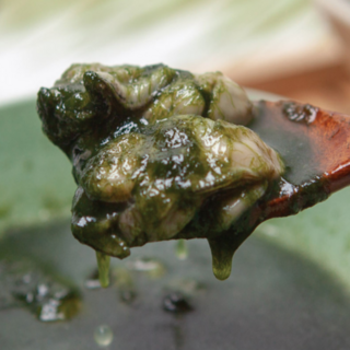 매생이국 건조매생이 국 국밥 자연산 냉동 해초 완도 청정 바다 100gx10봉